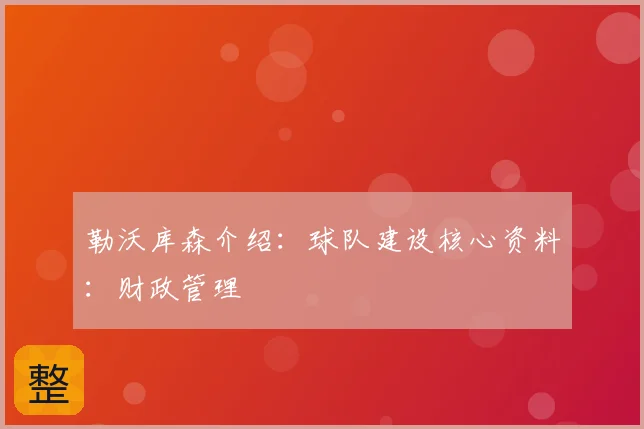 勒沃库森介绍：球队建设核心资料：财政管理
